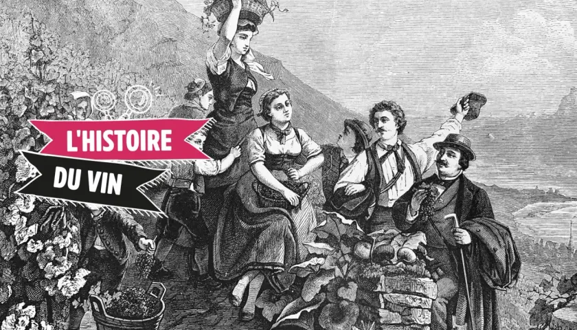 Gravure ancienne illustrant la récolte des raisins, évoquant l'origine du vin. Des vendangeurs, hommes et femmes, portent des paniers de fruits.
