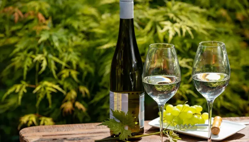 Bouteille de riesling avec deux verres, une grappe de raisin et un tire-bouchon sur une table en bois, devant un feuillage verdoyant.