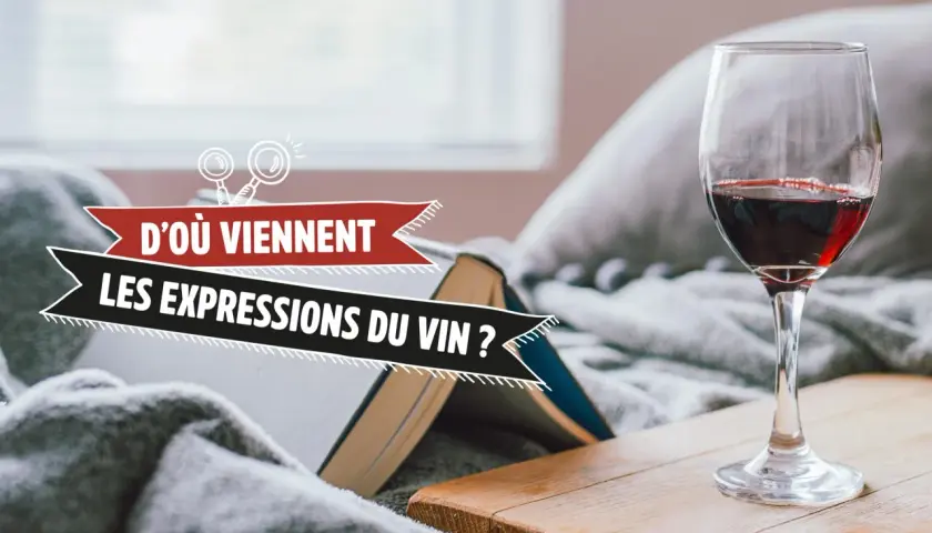 Verre de vin rouge près d'un livre ouvert, avec le texte "D'où viennent les expressions du vin ?". Une invitation à explorer l'origine pot de vin des mots.