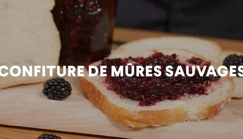 Tranche de pain tartinée de confiture de mûres sauvages, avec des mûres fraîches et un pot de confiture en arrière-plan.