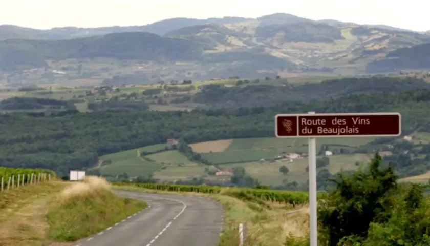 Route des Vins du Beaujolais. Combien de temps se garde un beaujolais village ? Ce paysage vallonné invite à la dégustation.