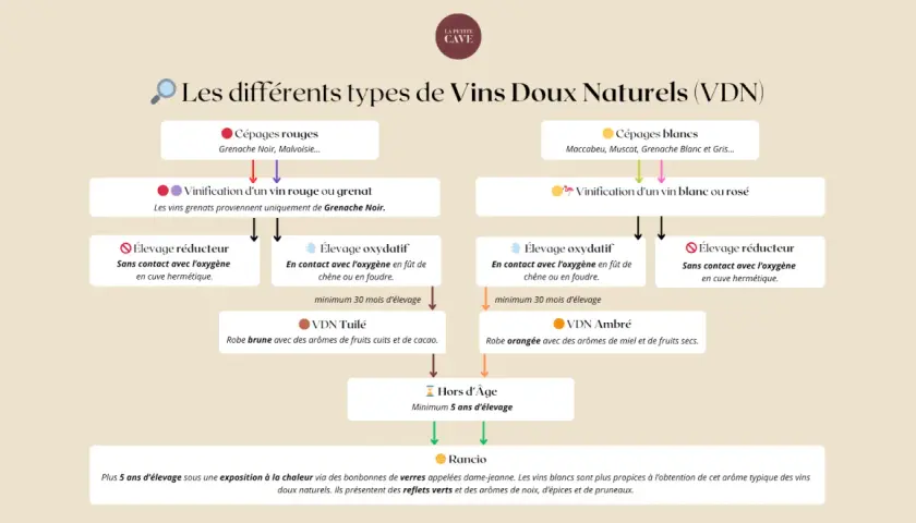 Schéma des Vins Doux Naturels : le vin est-il un spiritueux ? Ce diagramme explique les VDN, de leurs cépages à leur élevage, pour comprendre leur nature.