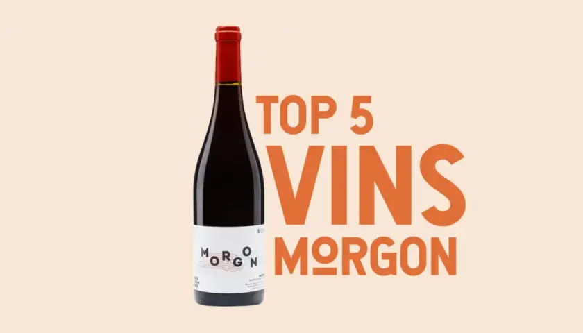 Une bouteille de vin rouge Morgon, un vin de garde, mise en avant avec le texte "TOP 5 VINS MORGON".