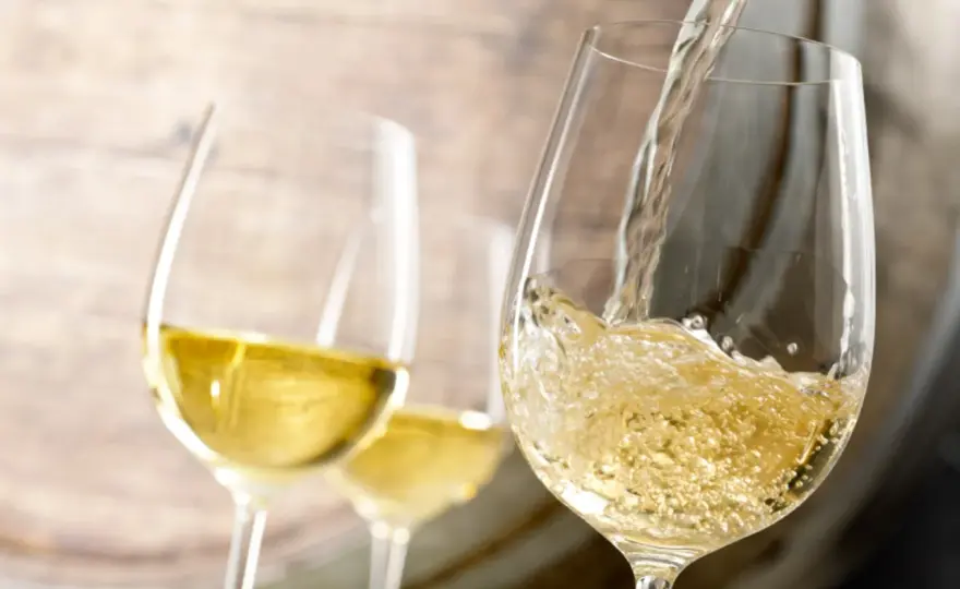 Vinification du vin blanc - du raisin à la bouteille