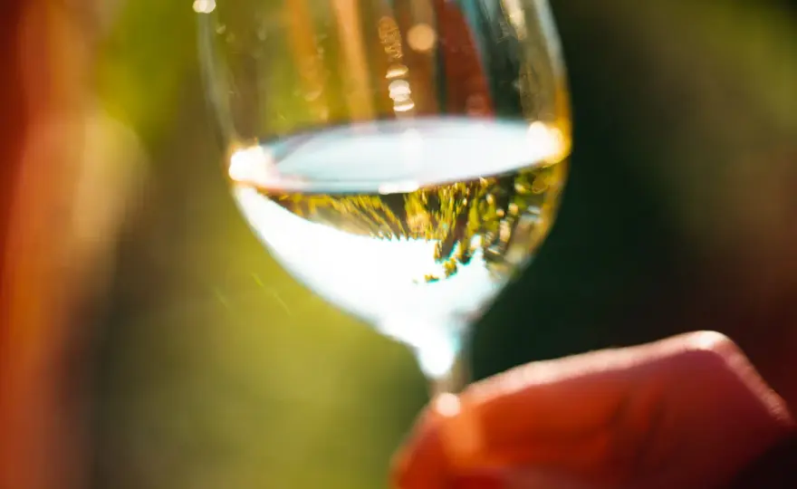 Type de vin blanc - comment choisir selon le style et le repas