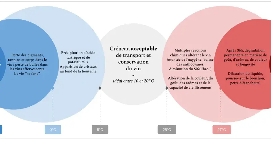 Température de conservation du vin rouge - les bons repères