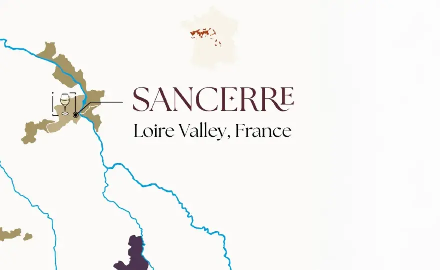 Sauvignon Blanc - comprendre ses régions en un coup d'œil