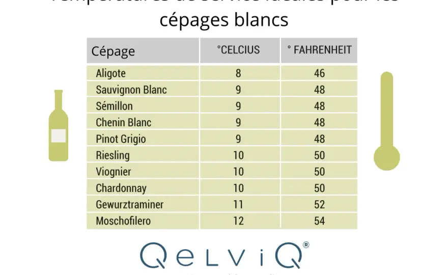 Temps de garde des vins blancs - Le guide ultime pour bien les boire