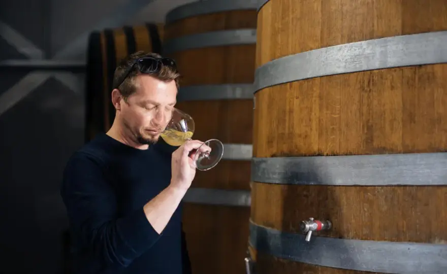 Chardonnay sec ou moelleux - Le guide pour ne plus se tromper