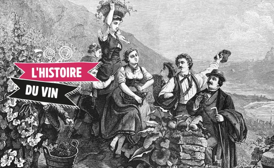 Origine du vin - du Caucase à la France