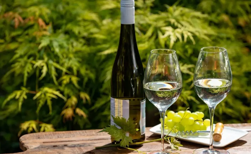 Riesling - Les meilleurs accords mets-vins pour chaque style