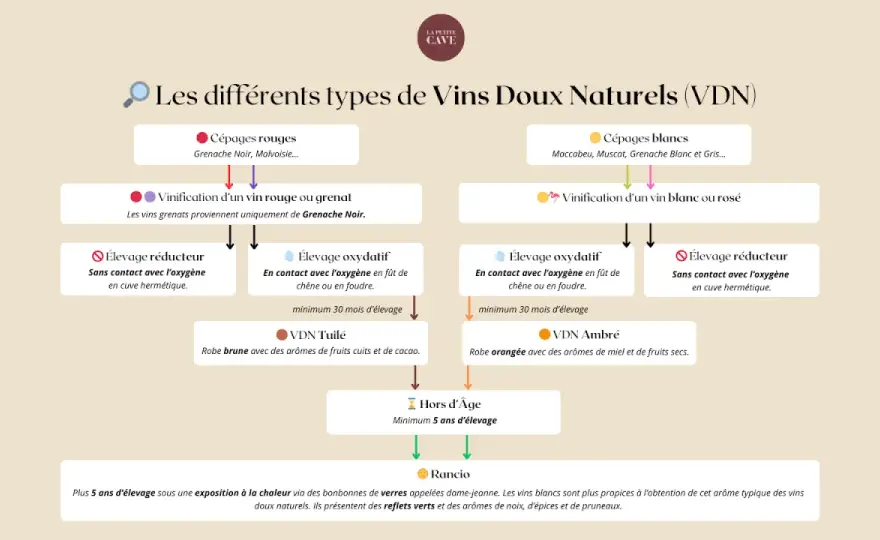 Vin ou spiritueux - La différence expliquée simplement