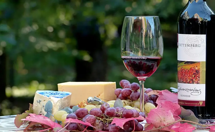 Quel vin choisir avec le fromage ? Nos accords les plus fiables