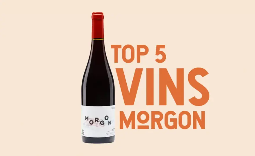 Morgon vin de garde - comment choisir la bonne bouteille