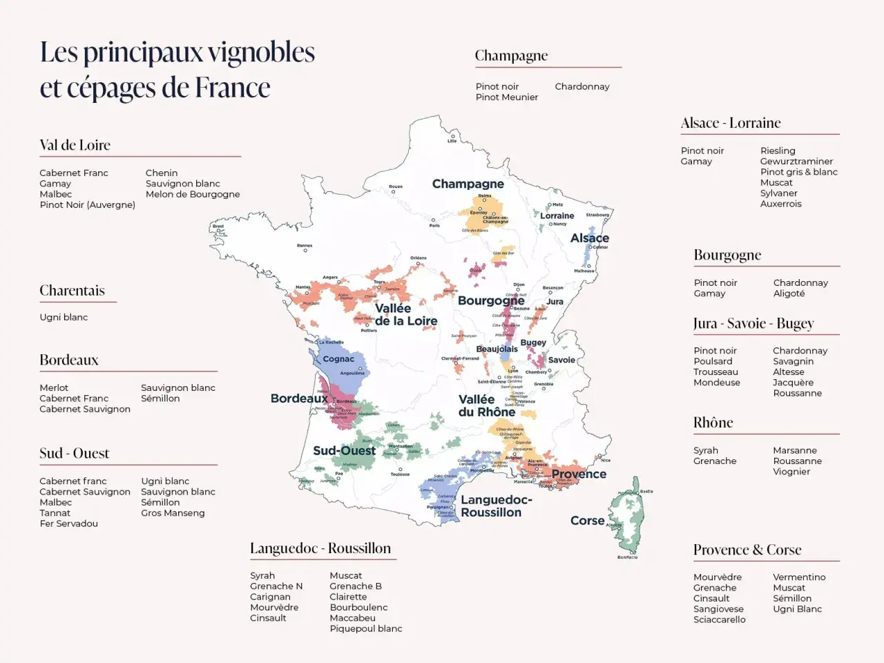Carte des vignobles français, une histoire du vin à travers les cépages.