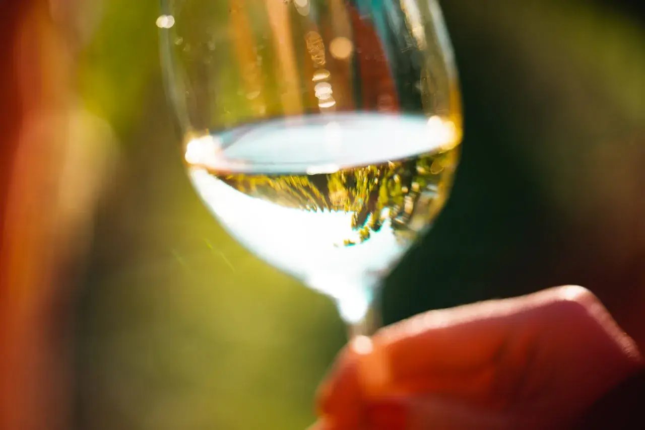 Un verre de vin blanc, reflet d'un paysage verdoyant, tenu par une main. Un moment de détente, parfait pour déguster ce type de vin blanc.
