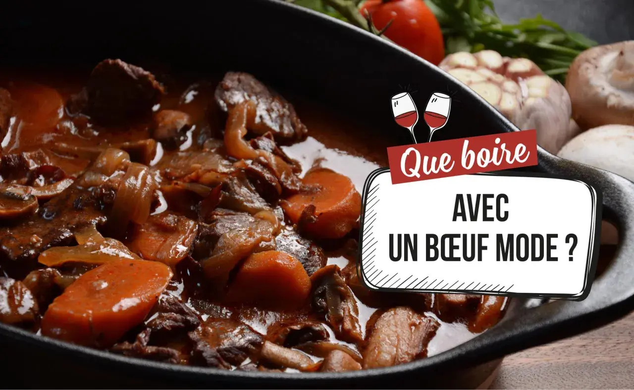 Un plat mijoté de bœuf aux carottes, oignons et champignons. La question se pose : quel vin avec bœuf mode ?