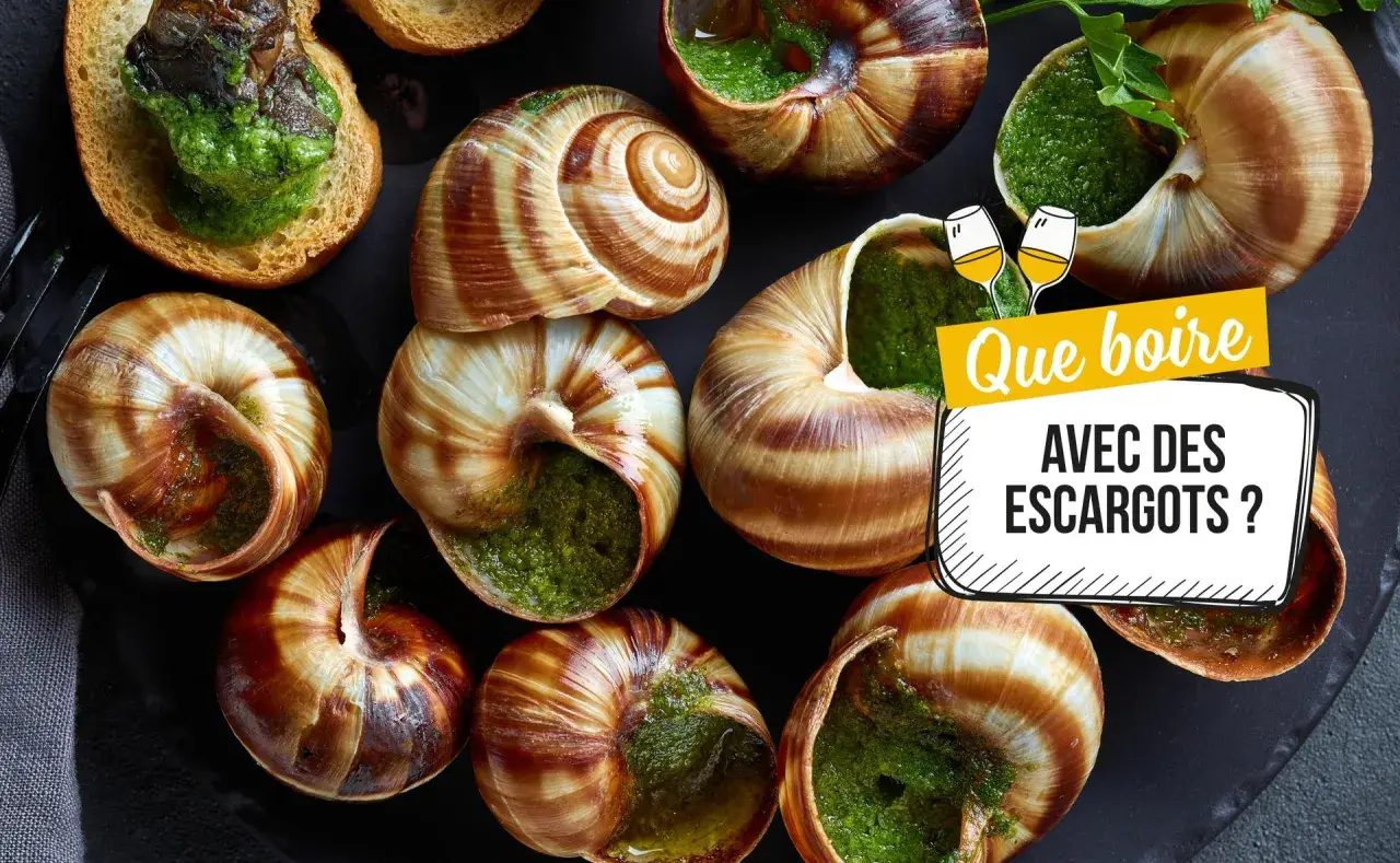 Escargots à l'ail et persil, prêts à être dégustés. La question se pose : quel vin avec les escargots ?