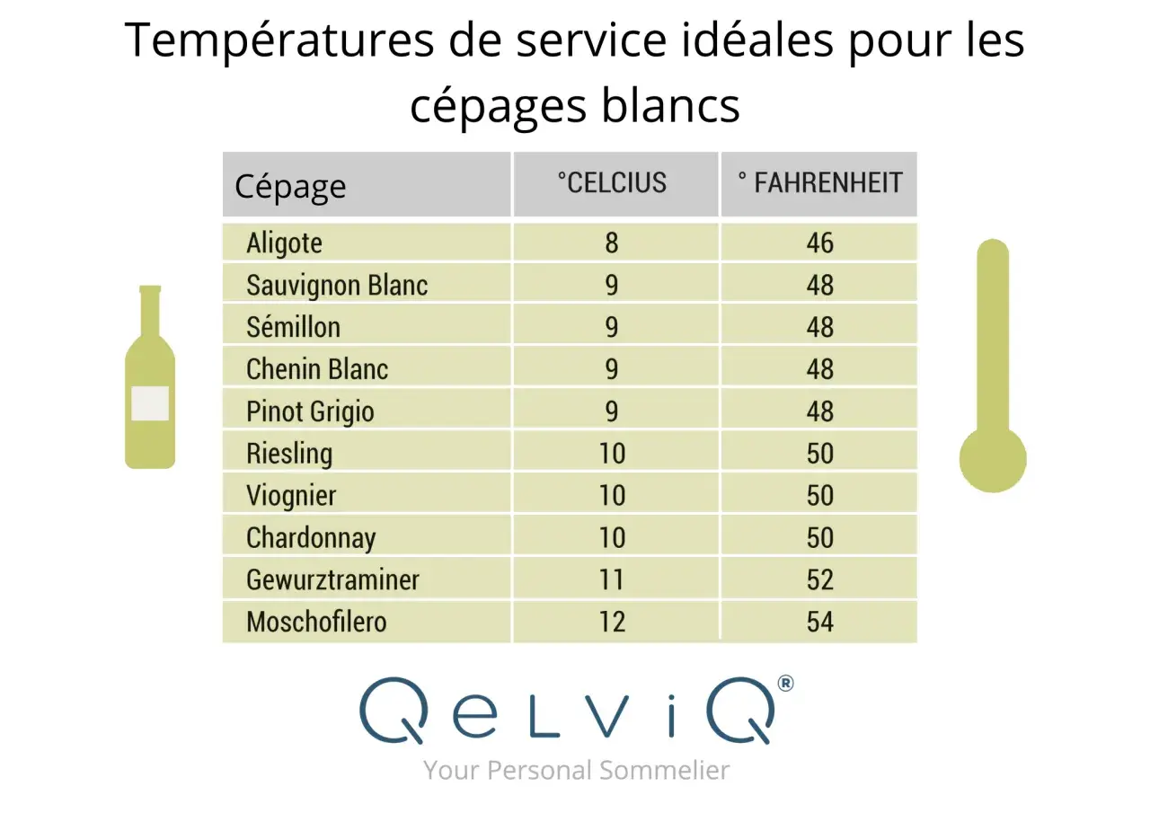 Tableau des températures idéales pour servir les cépages blancs. Un thermomètre et une bouteille de vin illustrent ce guide.