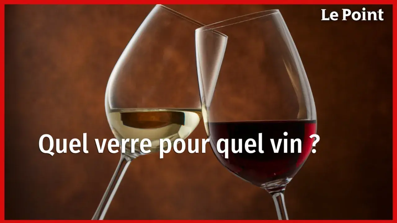 Deux verres à vin, l'un contenant du vin blanc, l'autre des vins rouges profonds, se font face. Lequel choisir pour chaque dégustation ?