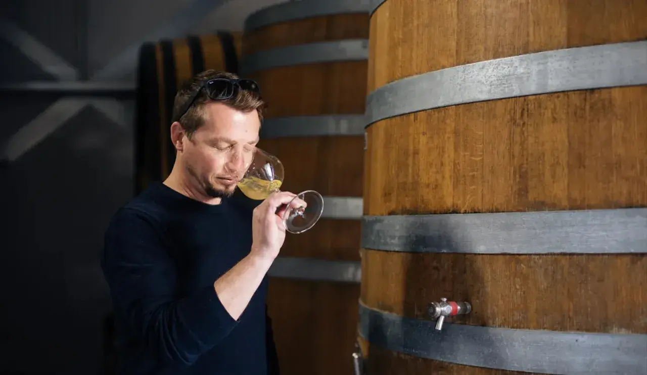 Un homme déguste un verre de vin blanc près de fûts de chêne, peut-être un chardonnay sec ou moelleux.