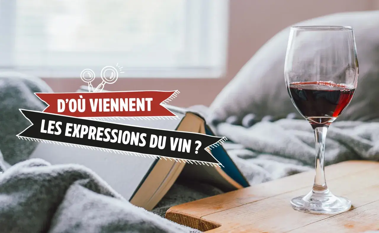 Verre de vin rouge près d'un livre ouvert, avec le texte "D'où viennent les expressions du vin ?". Une invitation à explorer l'origine pot de vin des mots.