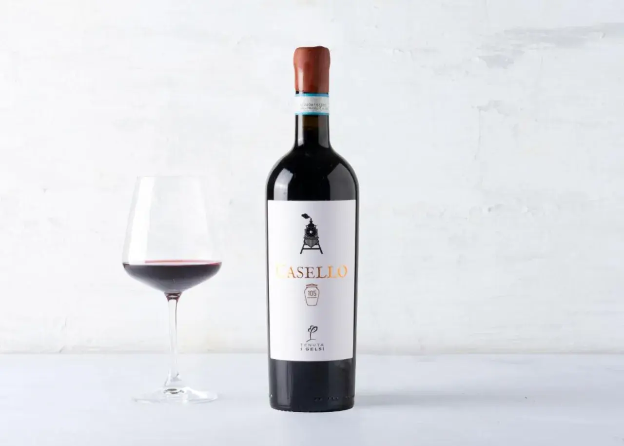 Verre de vin rouge et bouteille de Casello Aglianico del Vulture, un vin italien aux arômes intenses.