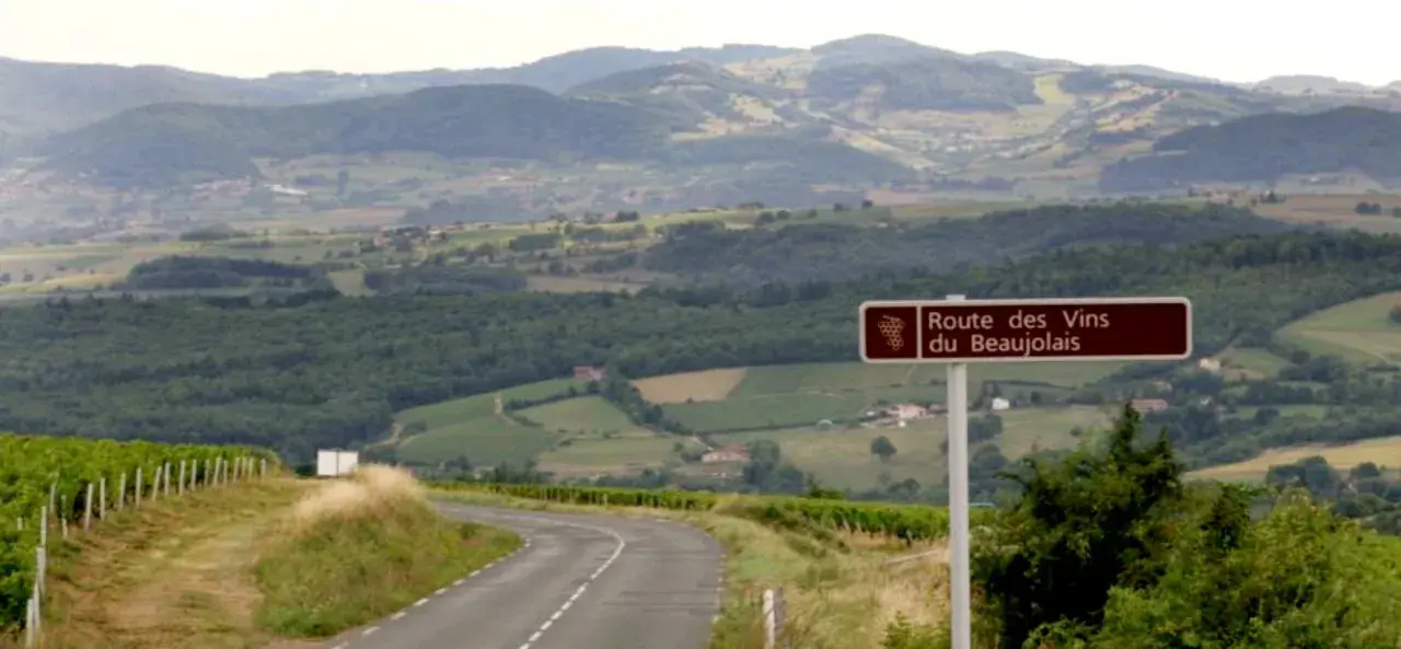 Route des Vins du Beaujolais. Combien de temps se garde un beaujolais village ? Ce paysage vallonné invite à la dégustation.