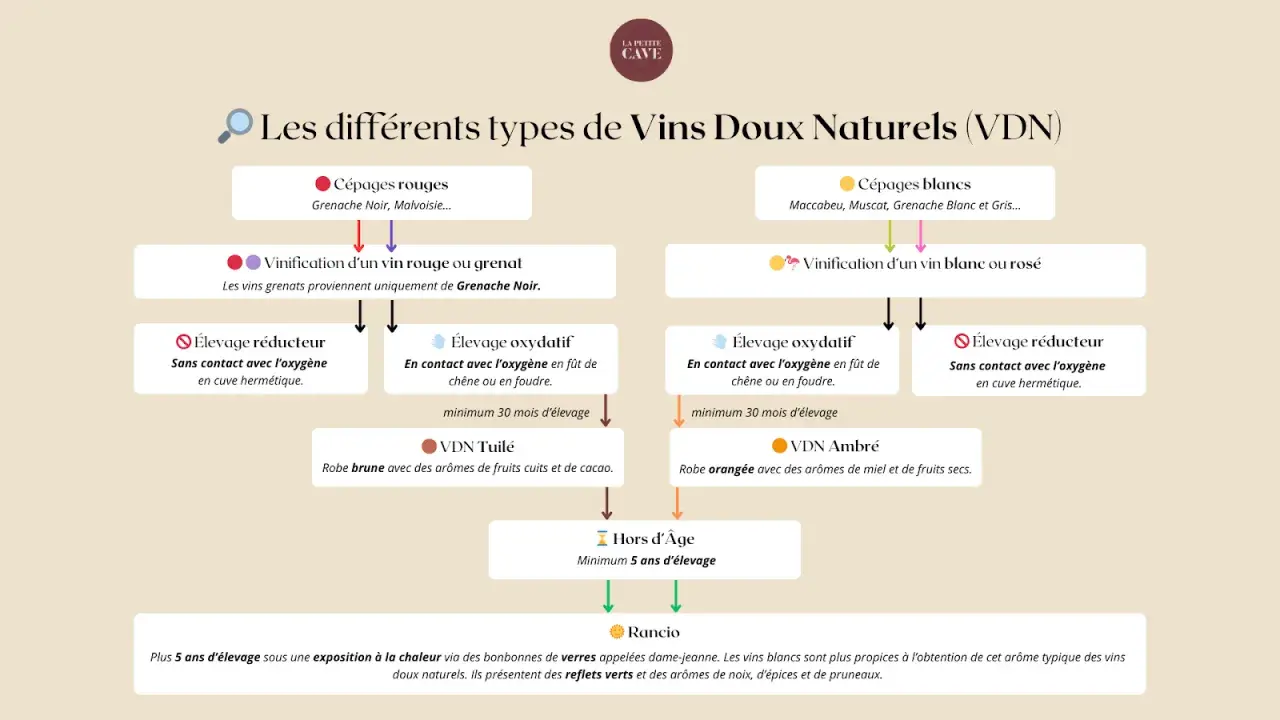 Schéma des Vins Doux Naturels : le vin est-il un spiritueux ? Ce diagramme explique les VDN, de leurs cépages à leur élevage, pour comprendre leur nature.