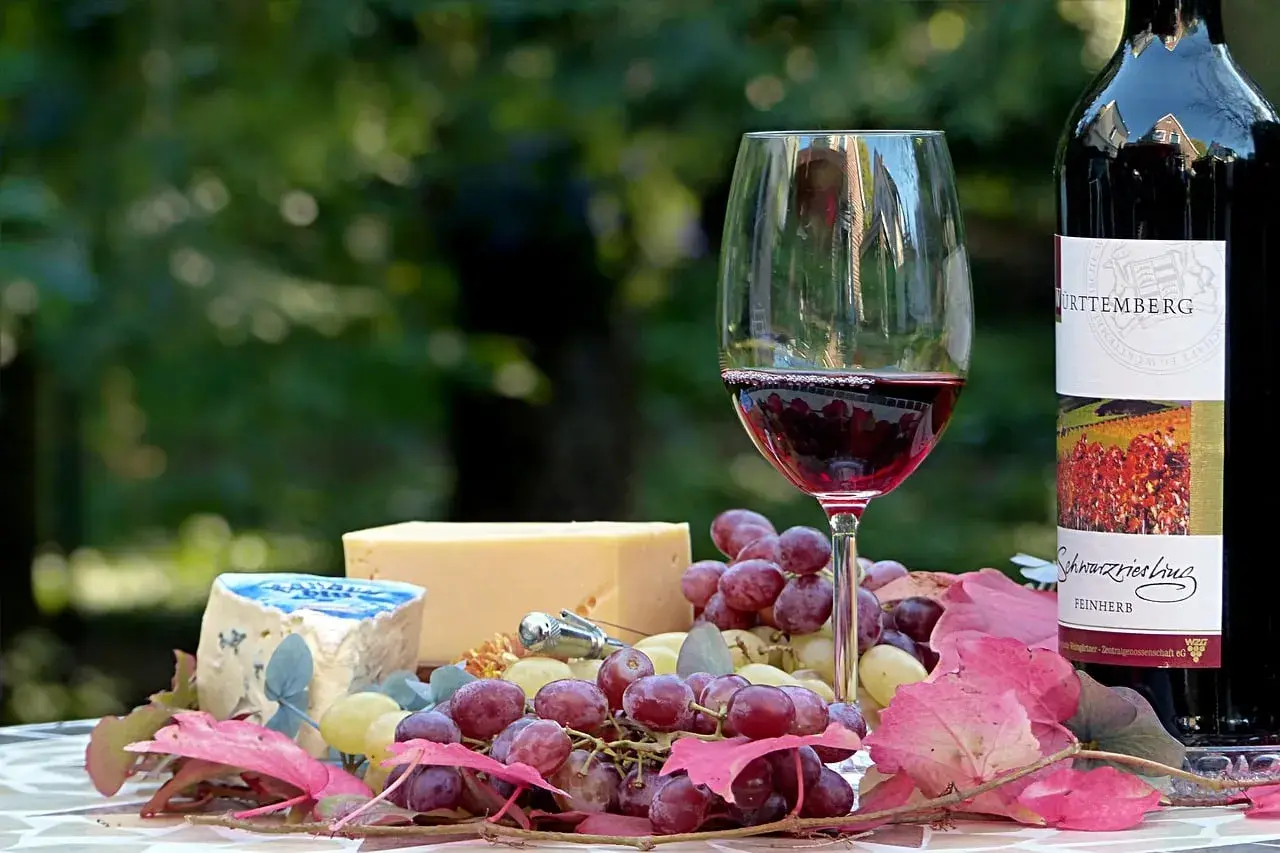 Un verre de vin rouge, du fromage et des raisins, une belle composition pour un apéritif.