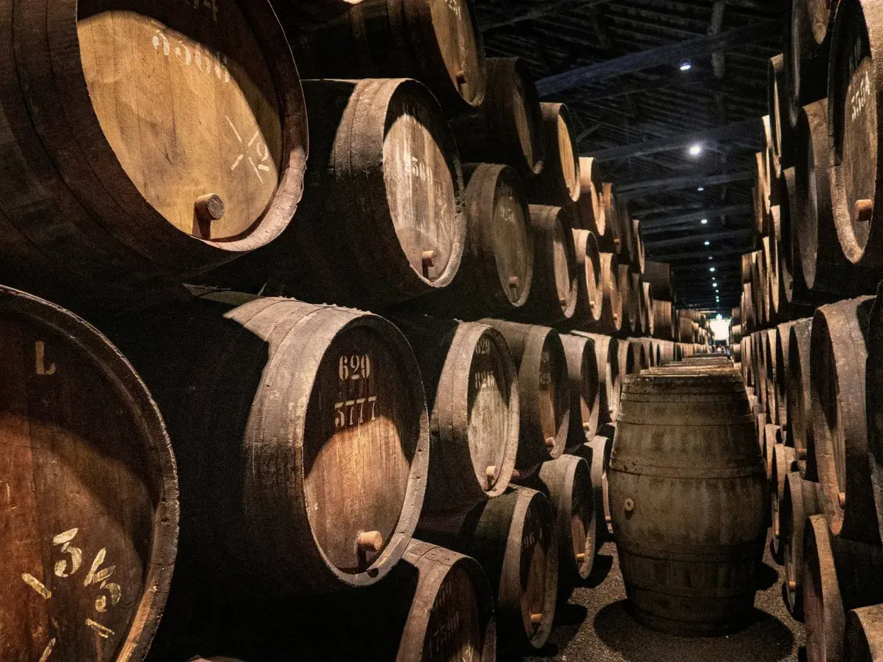 Cave à vin sombre remplie de nombreux fûts en bois empilés.