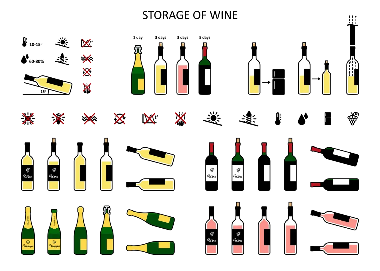 Illustrations de bouteilles de vin, certaines couchées, idéales pour le temps de garde vin rouge.