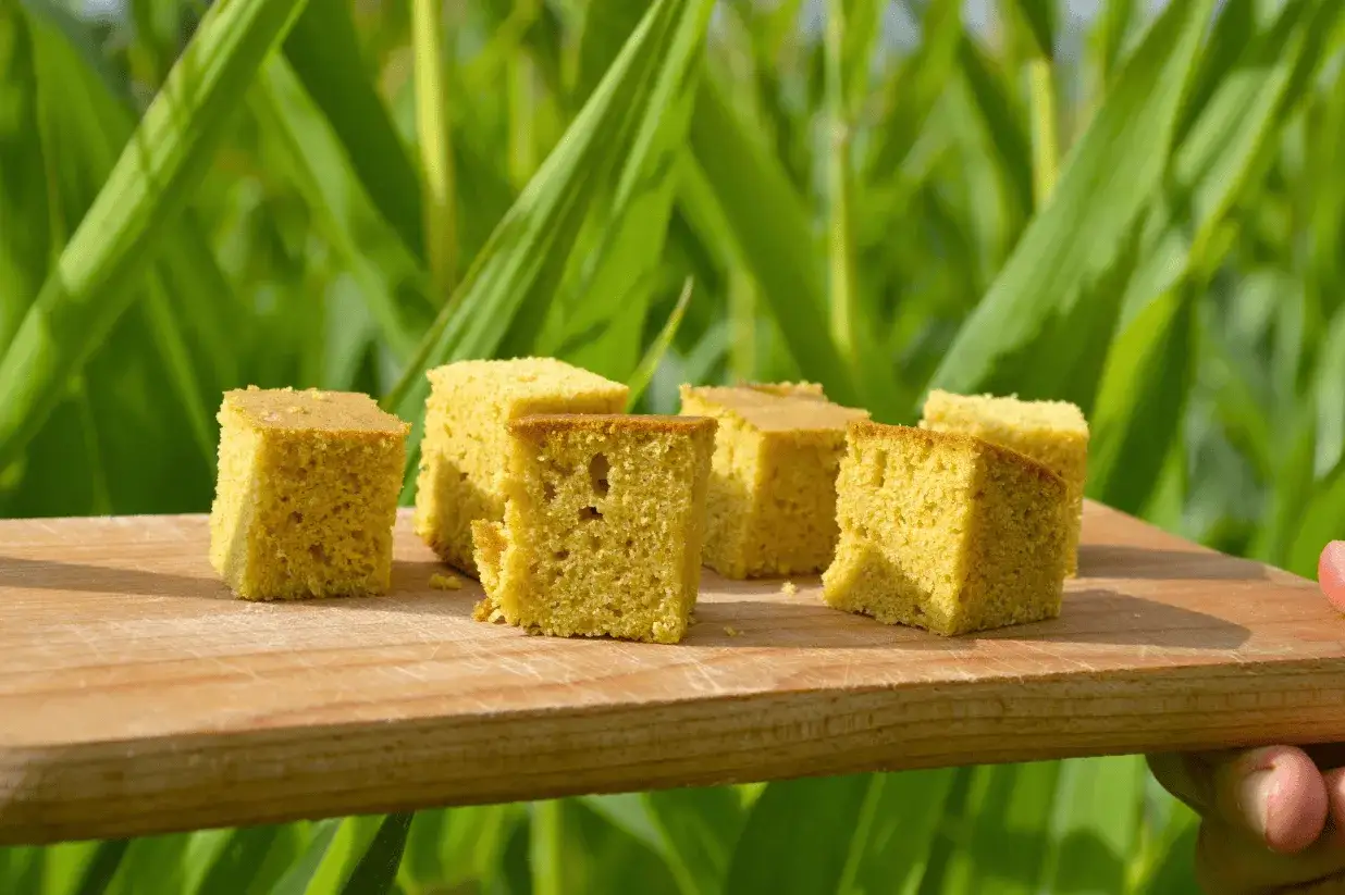 Délicieux pain au maïs coupé en cubes, présenté sur une planche en bois devant un champ de maïs verdoyant.