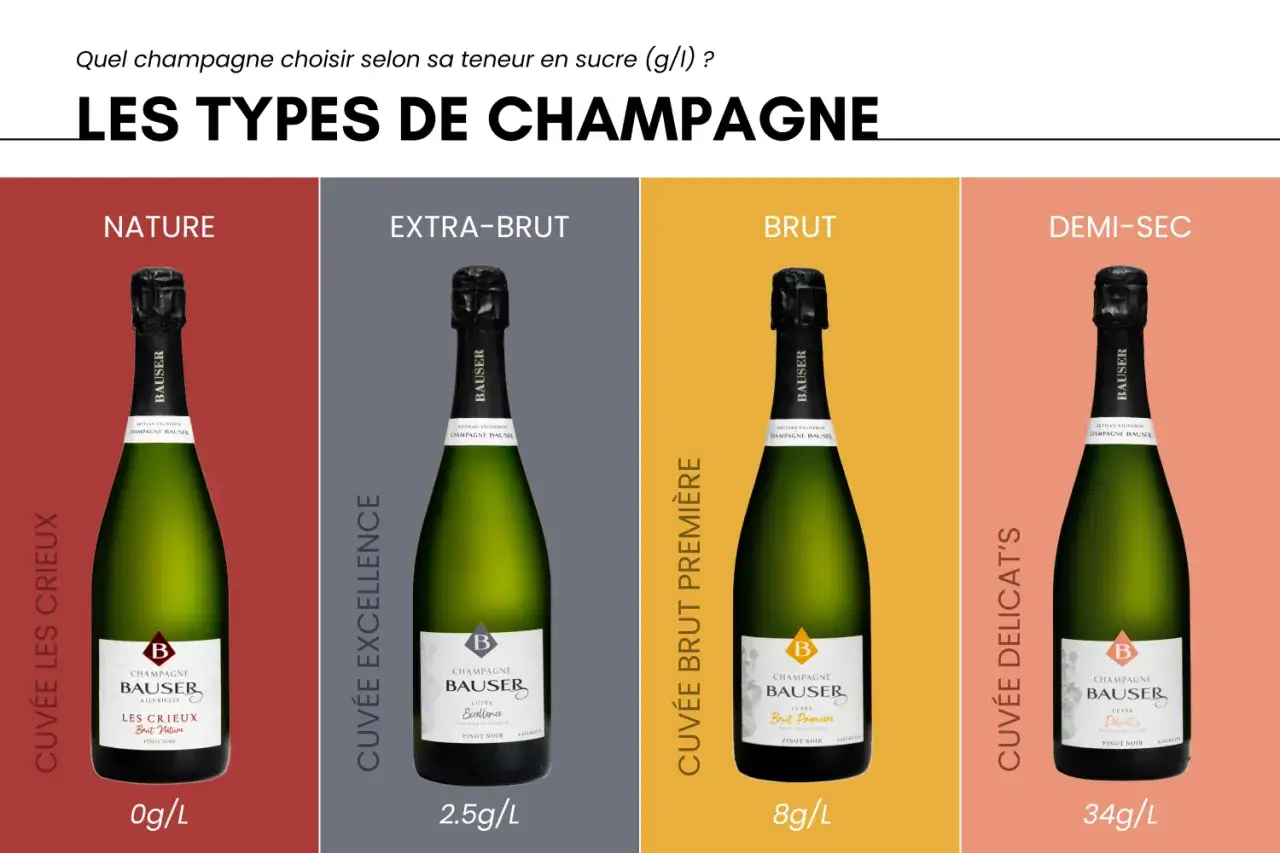 Quatre bouteilles de champagne présentent différents types de champagne, classés par teneur en sucre : Nature (0g/L), Extra-Brut (2.5g/L), Brut (8g/L) et Demi-Sec (34g/L).