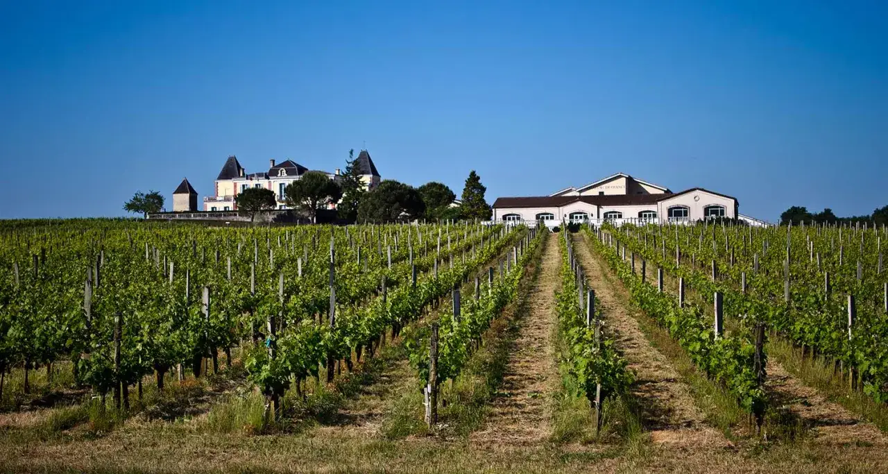 Vignoble verdoyant sous un ciel bleu, avec un château et des bâtiments de vinification en arrière-plan. Un paysage typique d'un millésime Pessac-Léognan.