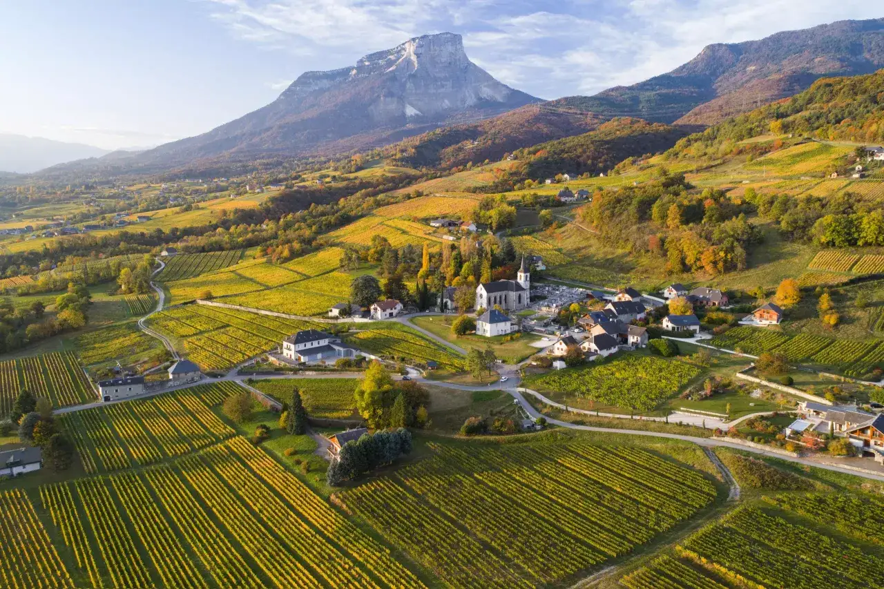 Paysage d'automne en Savoie, avec des vignobles dorés s'étendant à perte de vue. Un village pittoresque se niche au pied d'une montagne imposante. Avis sur le vin de Savoie Abymes.