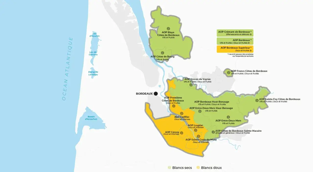 Carte des vins de Bordeaux, montrant les appellations comme Graves de Vayres, Côtes de Bordeaux, et Cadillac.
