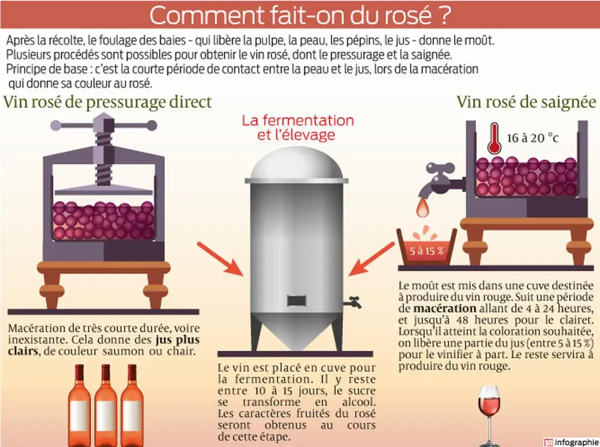 Schéma expliquant la fabrication du rosé : pressurage direct, saignée avec macération courte, fermentation en cuve.