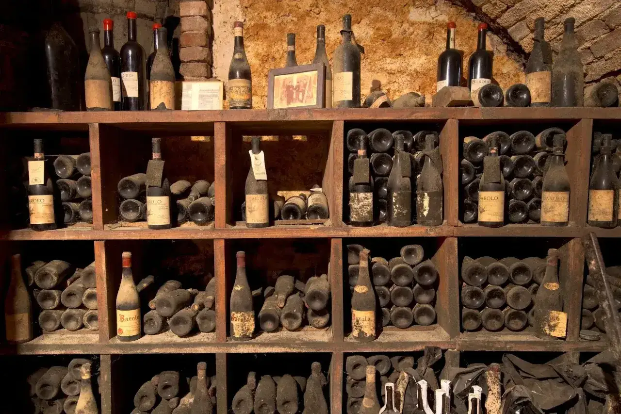 Cave à vin poussiéreuse, remplie de bouteilles anciennes. La température idéale pour la conservation du vin est maintenue ici.