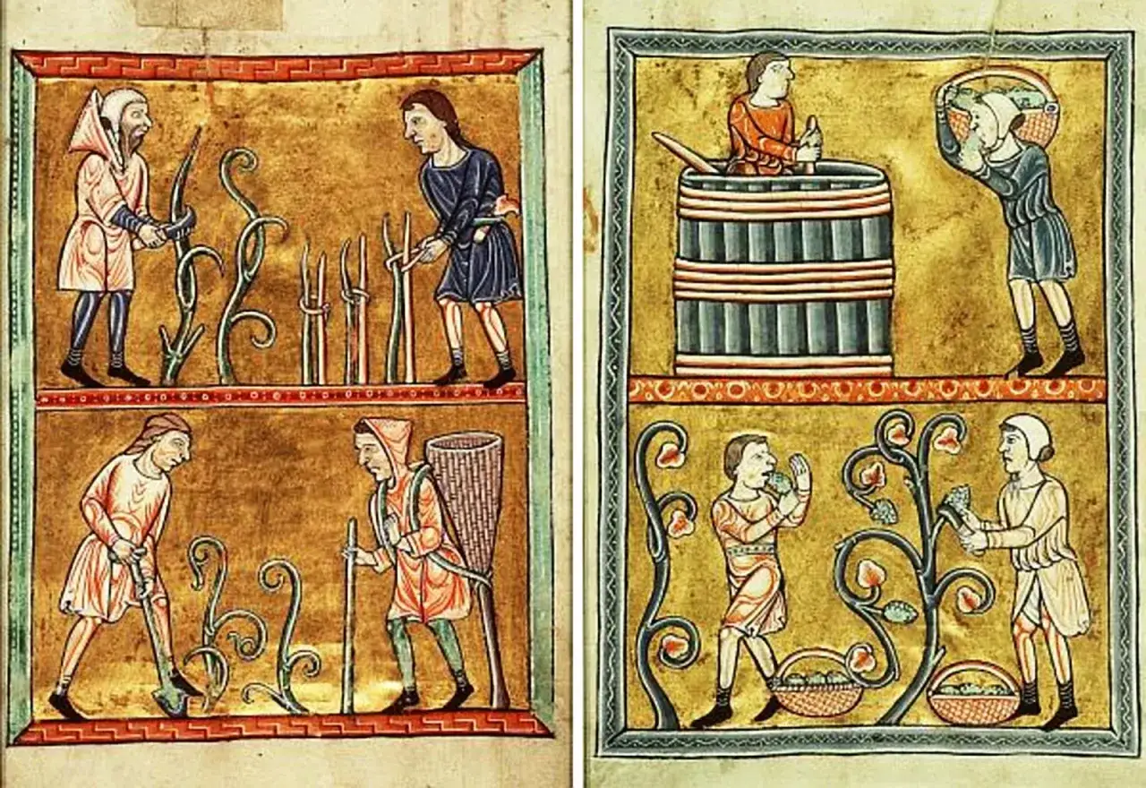 Miniatures médiévales illustrant l'histoire du vin : travail de la vigne, vendanges, foulage du raisin et mise en cuve.