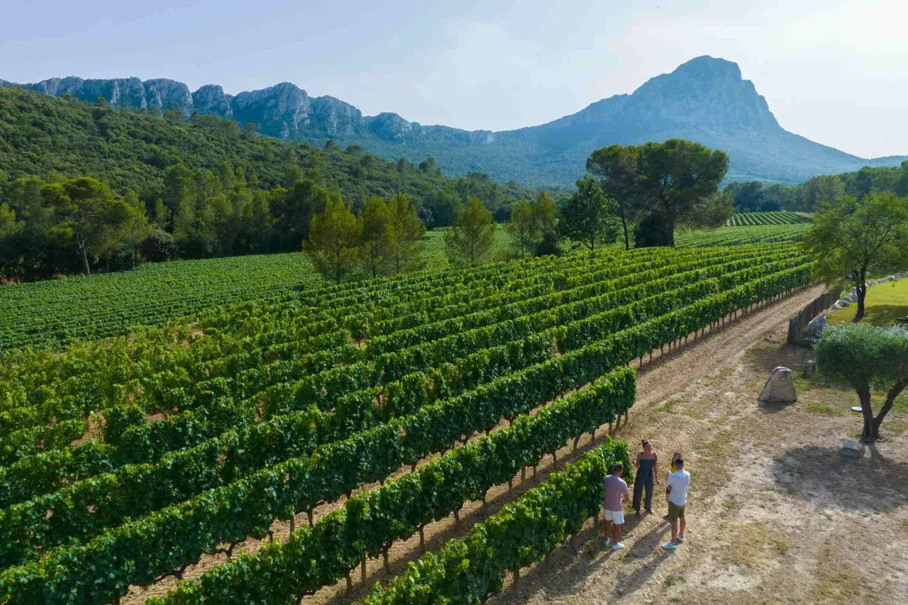Trois personnes contemplent les vignobles à perte de vue, sous un ciel bleu, dans ce qui pourrait être la plus grande région viticole de France.