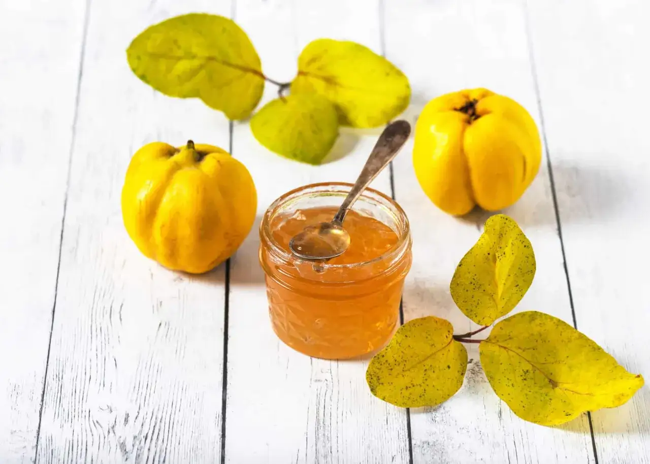 Confiture de coings sans les peler, dorée et appétissante, avec des coings frais et des feuilles d'automne sur fond de bois blanc.
