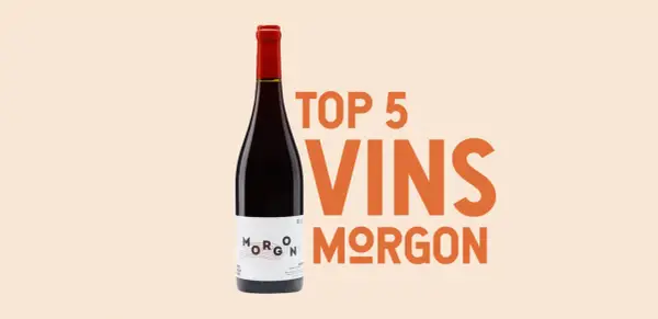 Une bouteille de vin rouge Morgon, un vin de garde, mise en avant avec le texte "TOP 5 VINS MORGON".